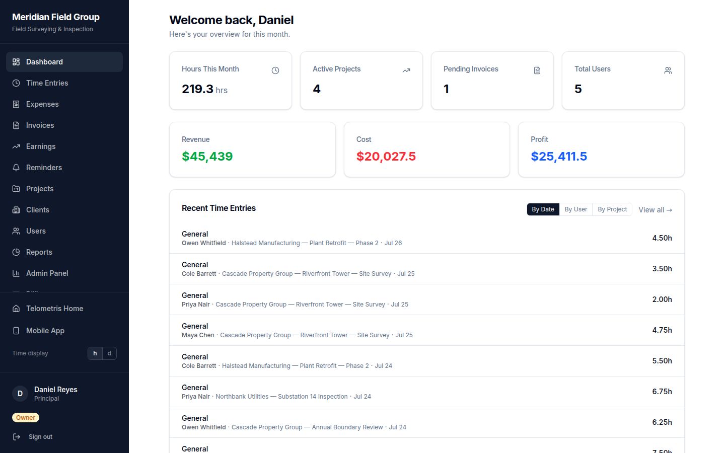 Telometris dashboard showing monthly hours, active projects, revenue, cost, profit, and recent time entries